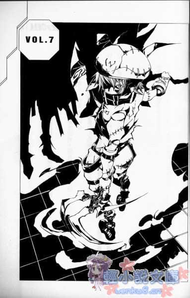 .hack／／CELL小说插图（32）
