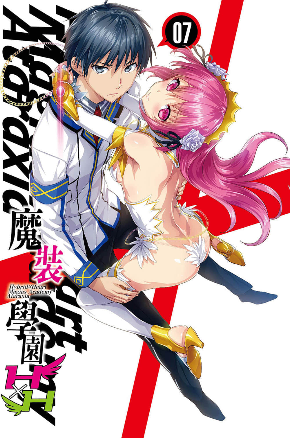 《魔装学园H×H》7 插图（2）