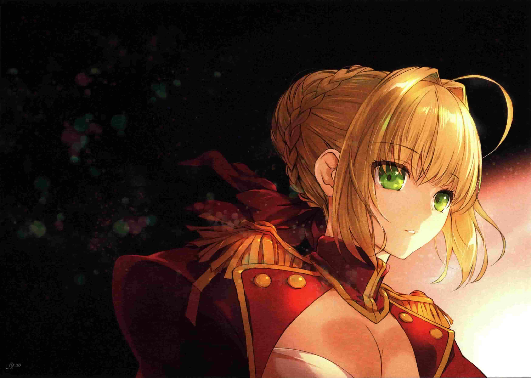 《Fate/EXTRA Last Encore》全一册 附录插图（14）