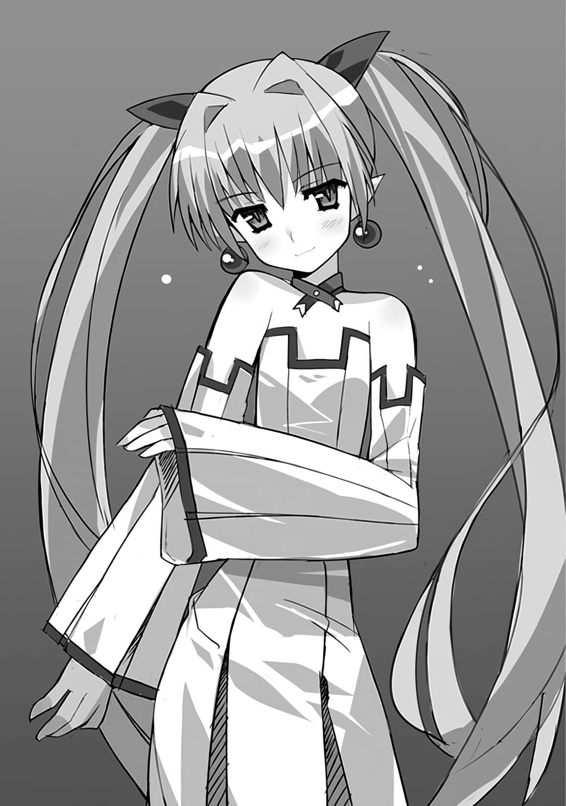 《Campione 弑神者！》4 英雄与王 插图（11）