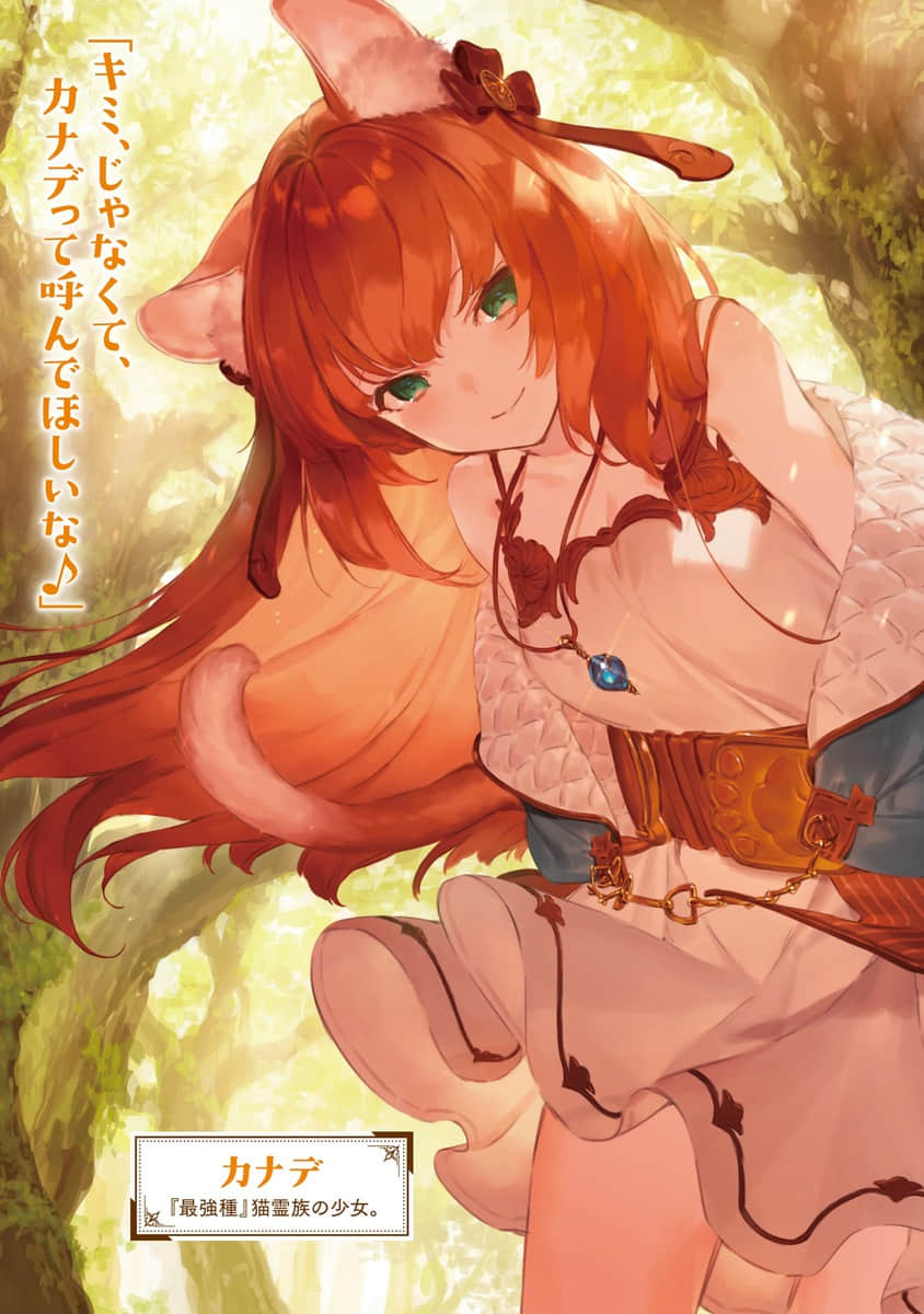 被勇者队伍开除的驯兽师，邂逅最强种的猫耳少女小说插图（7）