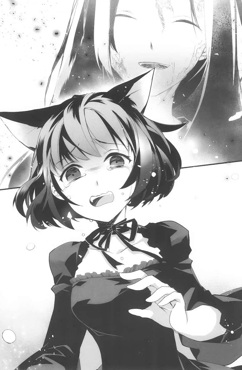 《身为魔王的我娶了奴隶精灵为妻，该如何表白我的爱？》8 第四章 吸血鬼在圣夜祈求奇迹，而黑猫带来了幸运插图（4）