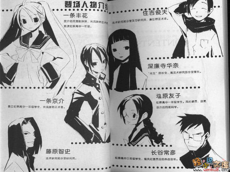 《打工魔法师》2 狮子怒吼着：毁灭吧，灵魂！ 插图（5）