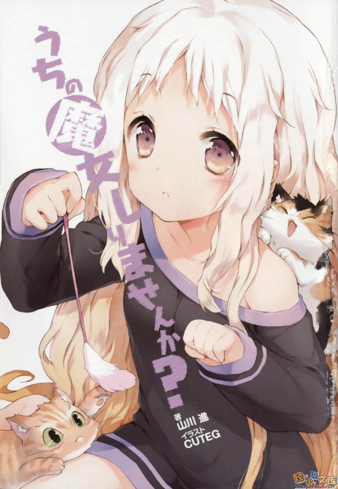 有看到我家的魔女吗？小说插图（9）
