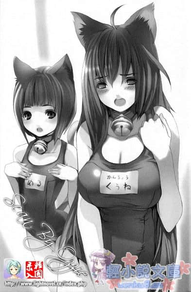 《玩伴猫耳娘》2 作战名称是「喵呜君」 插图（5）