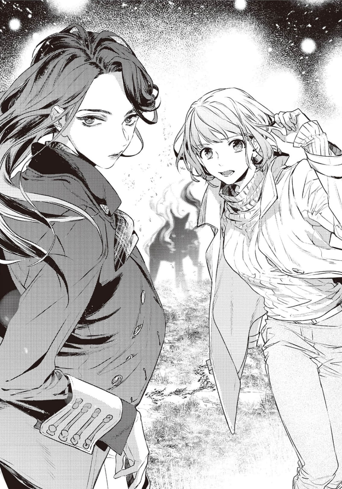 夏丽·福尔摩斯系列小说插图（5）