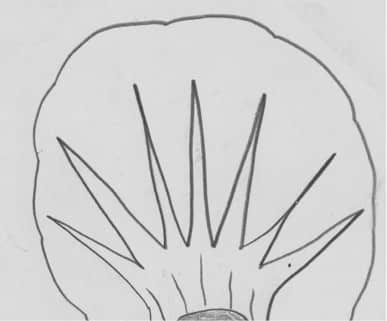 《诡画》全一册 序插图(5)