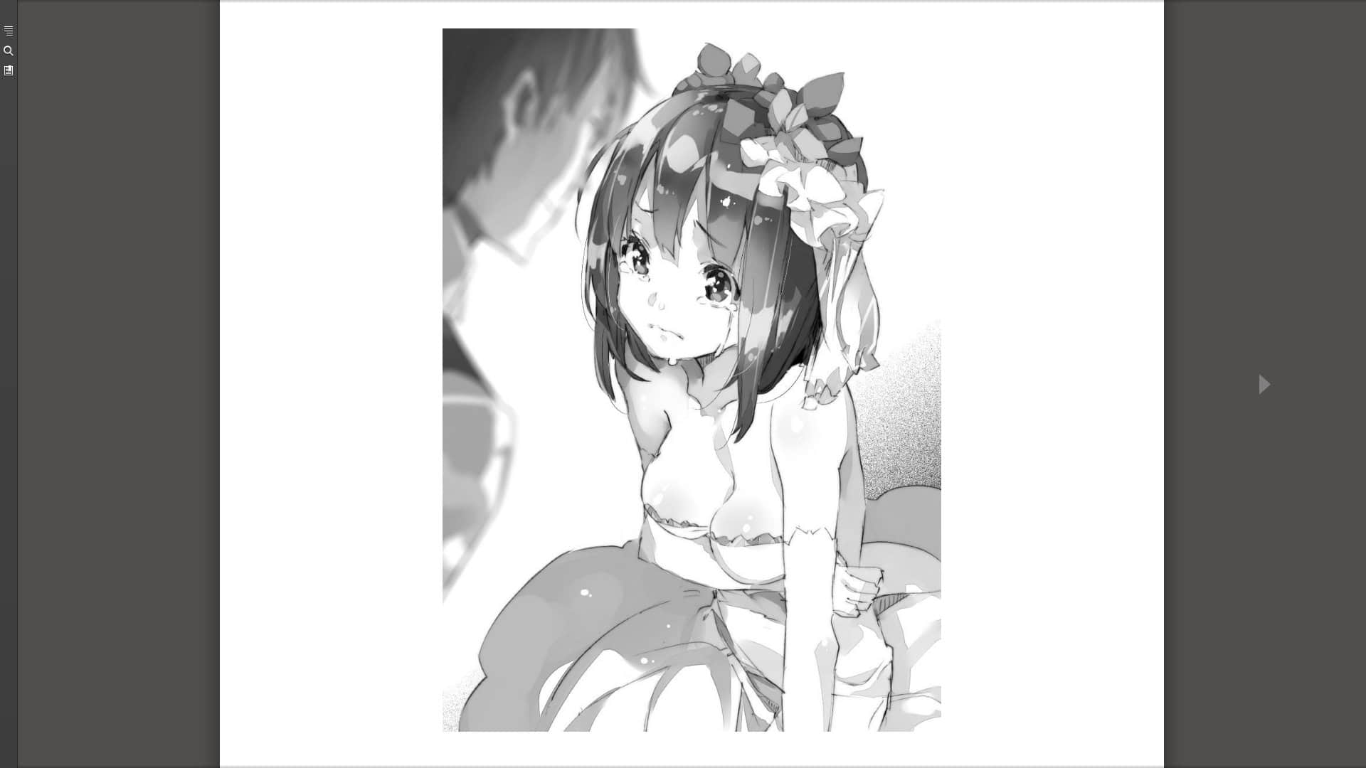《弗雷姆王国兴亡记》3 插图（13）