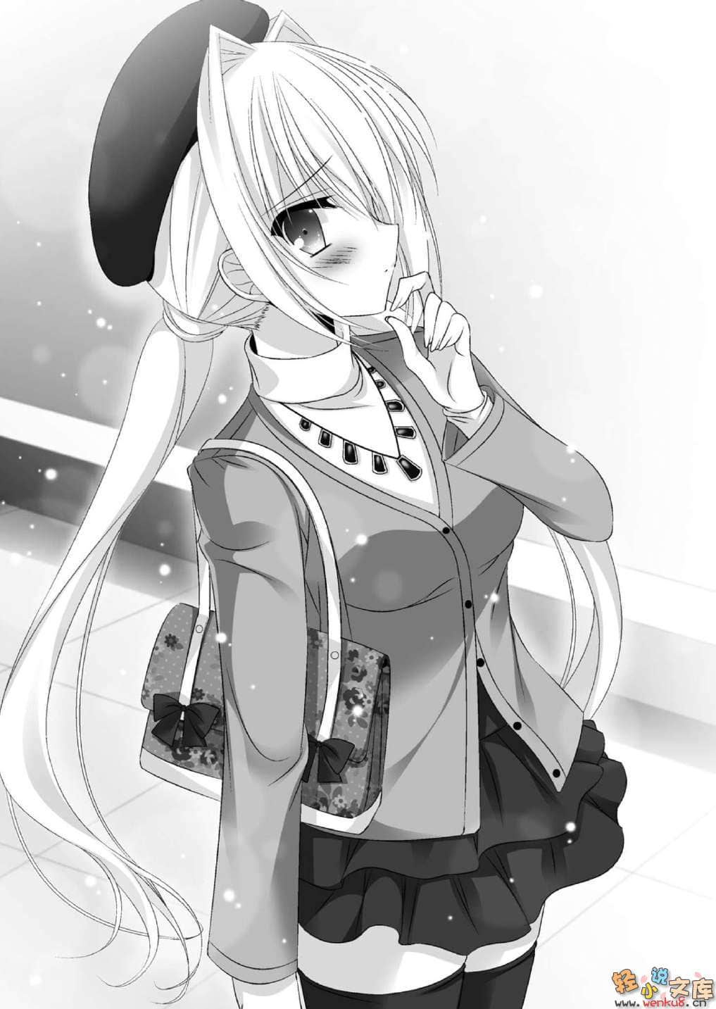 桃音汐音的轻小说日记小说插图（61）