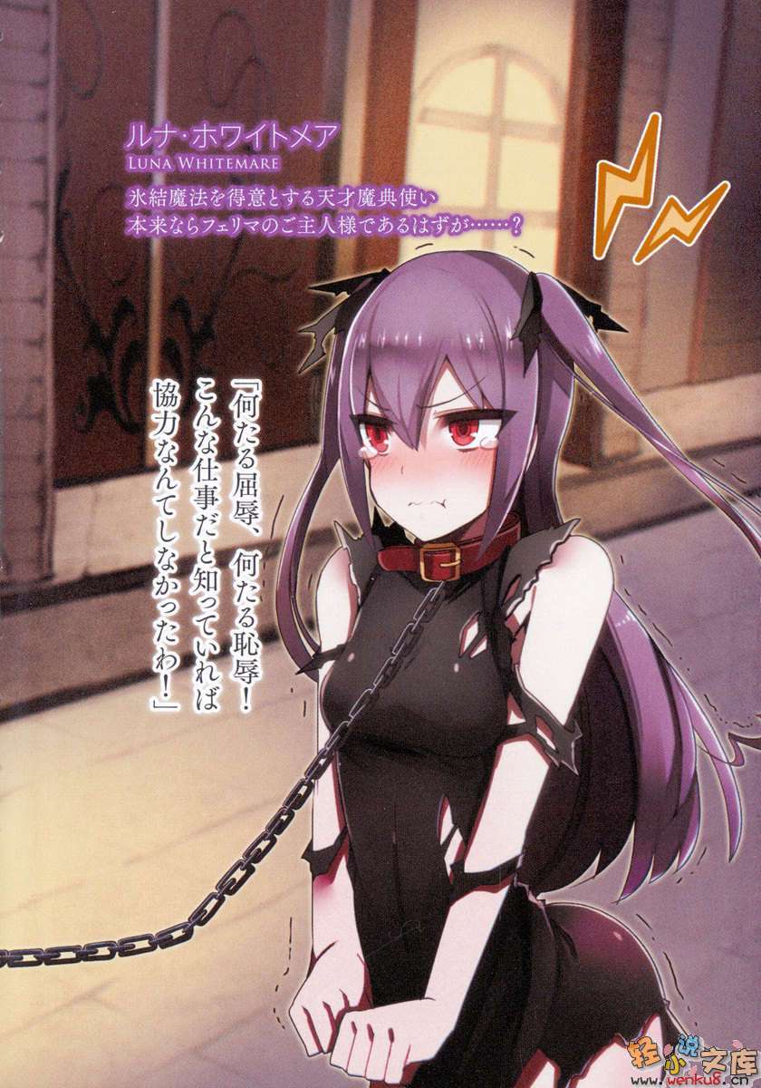 《无名反叛者》2 冰结魔典永不破灭 插图（4）