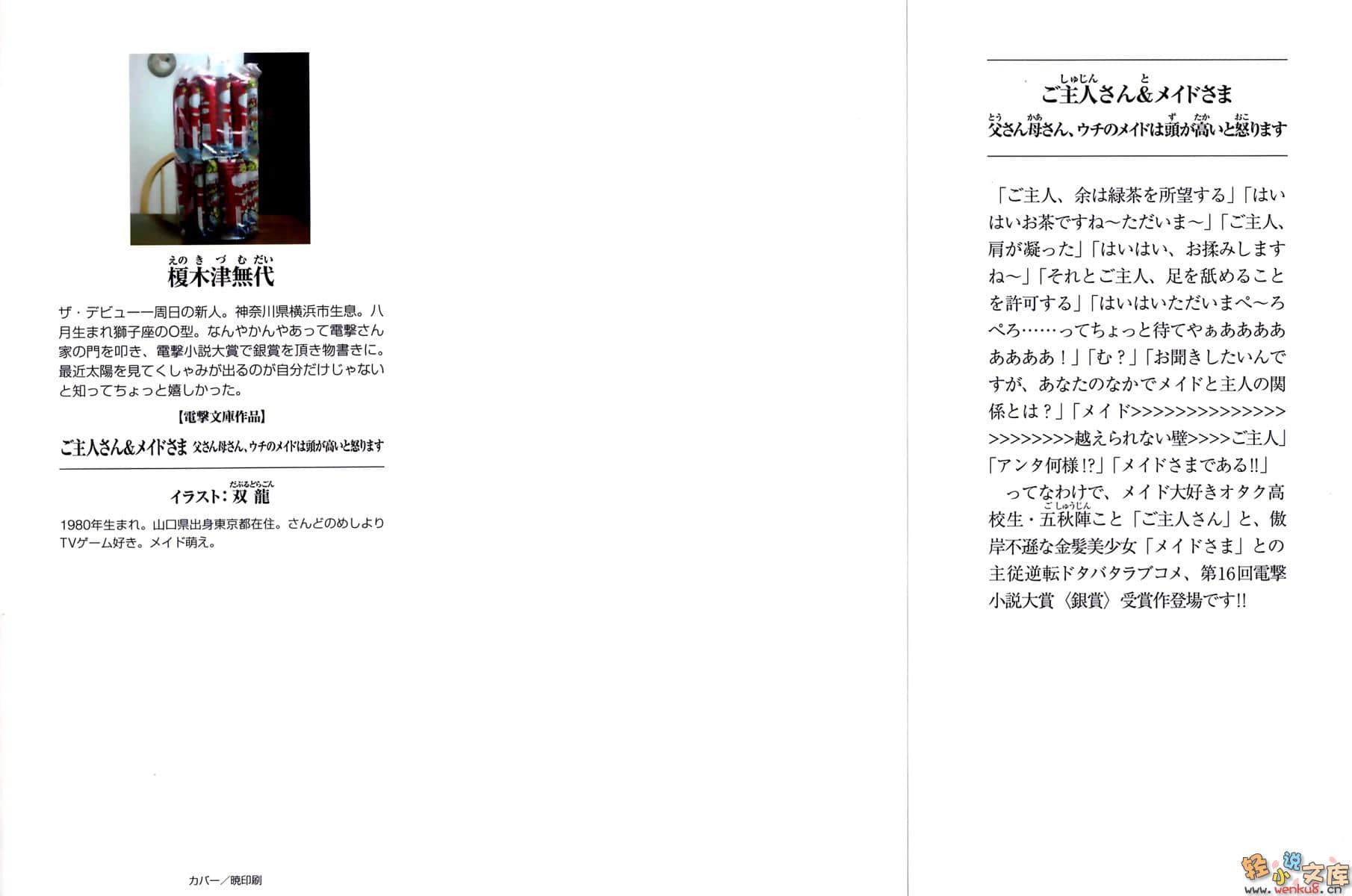 主人和女仆大人小说插图（8）