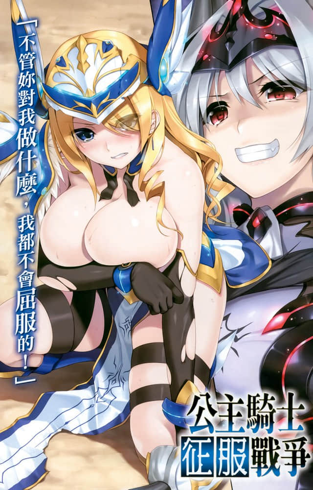 公主骑士征服战争小说插图（3）