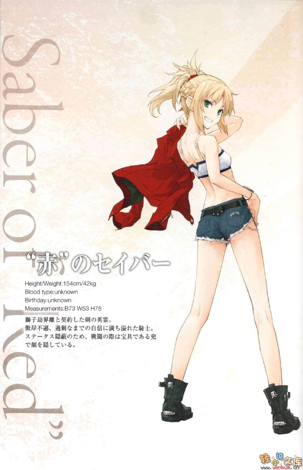 Fate Apocrypha小说插图（2）