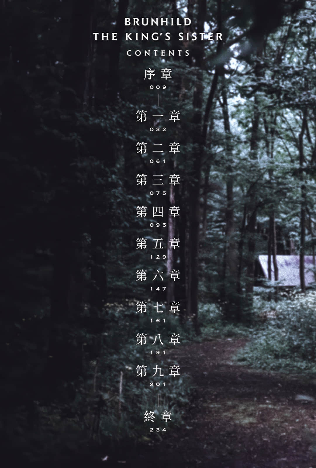 《屠龍者布倫希爾德》4 王妹布倫希爾德 插圖(5)