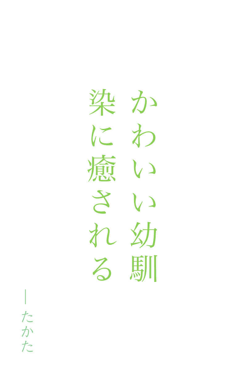 《因为『你不是一家人』而被精英家庭驱逐的我，治愈我的是十二年后重逢的童年玩伴。》1～30 作品相关插图（1）
