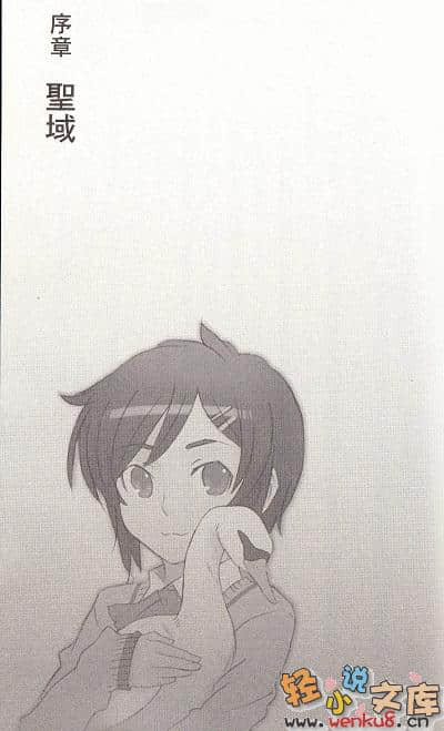 《M之奇谈》1 天鹅座迷宫 插图（7）