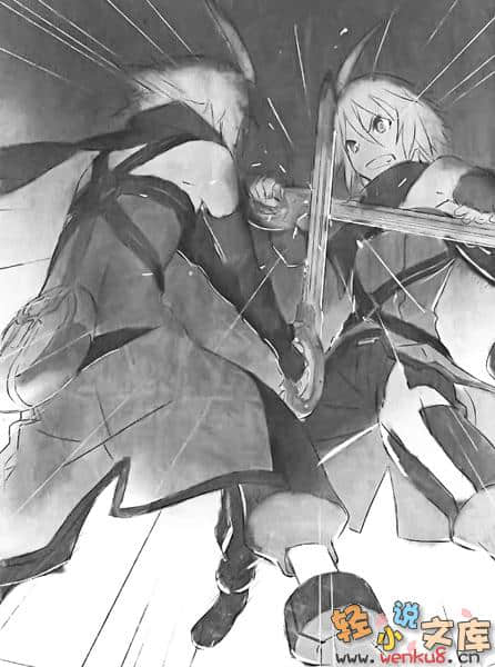 Tales of Symphonia 交响曲传奇 拉塔特斯克的骑士小说插图（22）