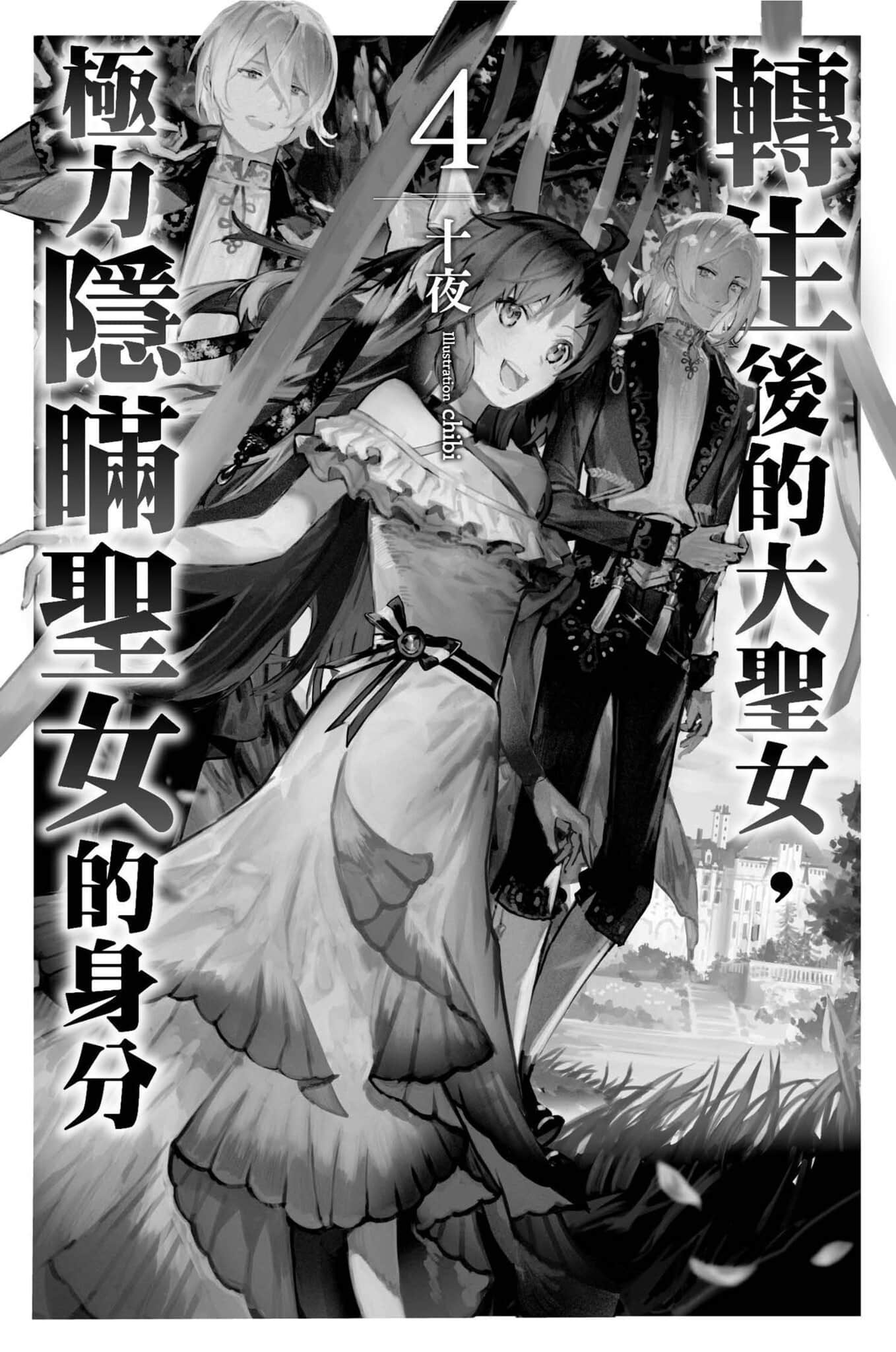 轉生後的大聖女，極力隱瞞聖女的身分小說插圖（41）