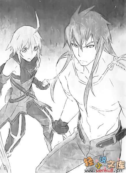 Tales of Symphonia 交响曲传奇 拉塔特斯克的骑士小说插图（18）