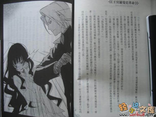 王宫罗曼史革命小说插图（47）