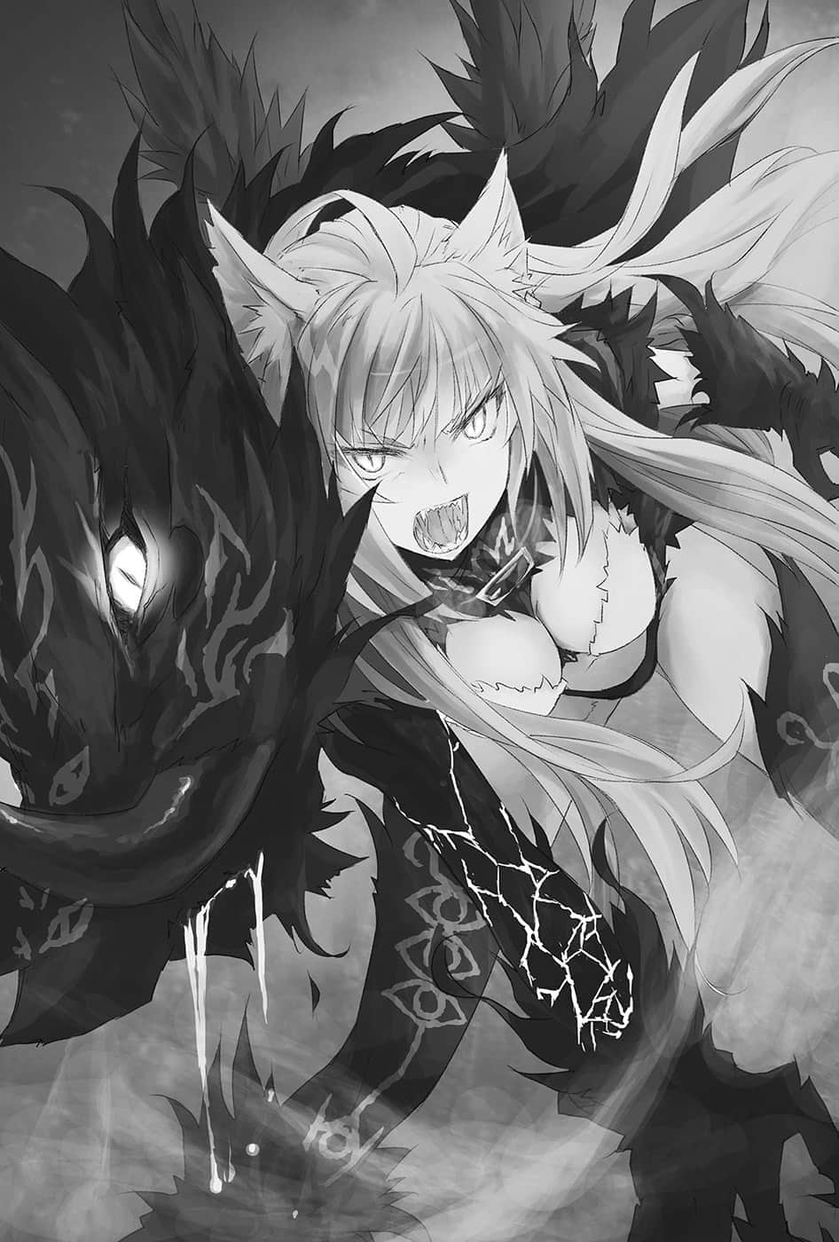 《Fate Apocrypha》5 邪龙与圣女 插图（9）