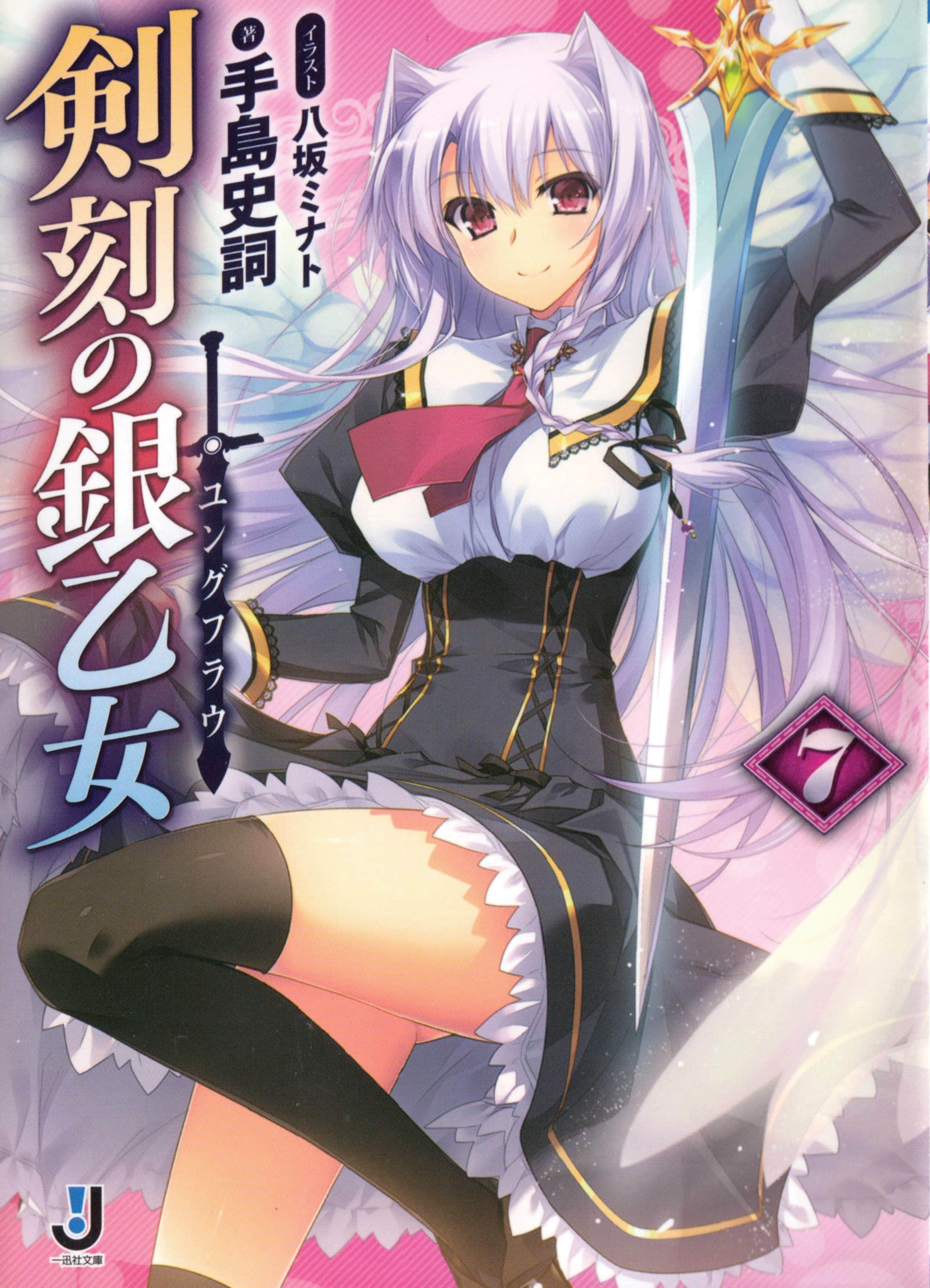 剑刻的银乙女小说插图（100）