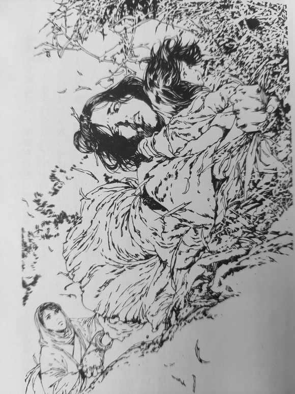 《十二国记》9 白银之墟 玄之月① 第一章插图（1）