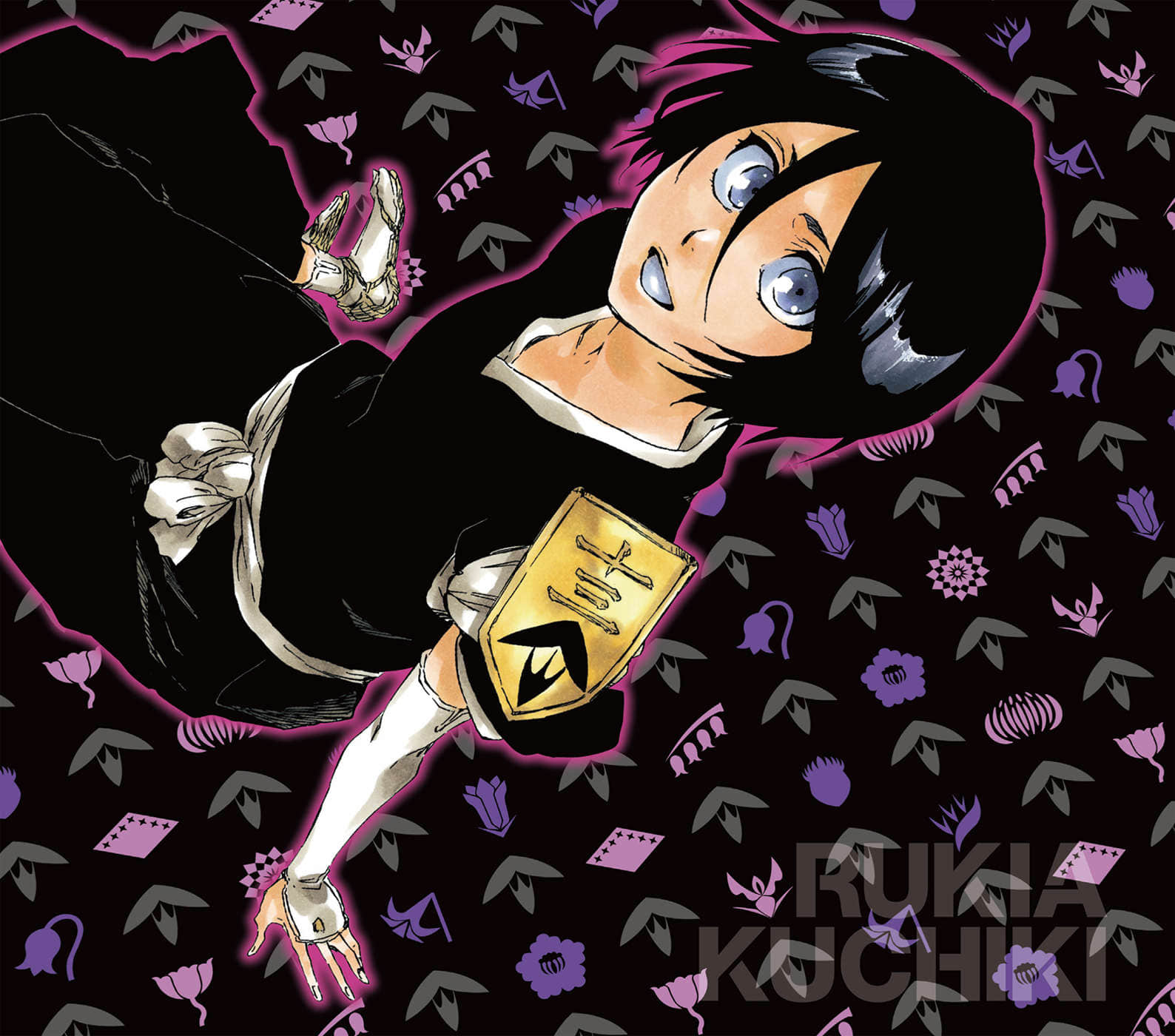 《BLEACH 死神》3 The Death Save The Strawberry 插图（2）