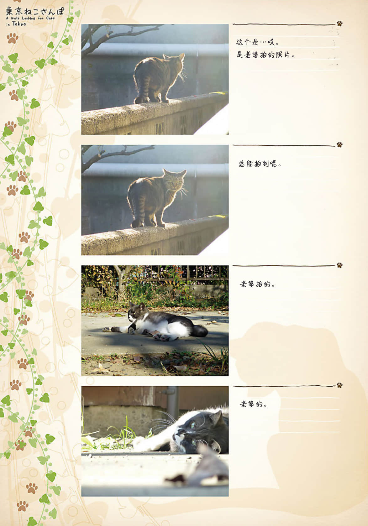 《野崎惑剧场》2 作品 No.21 东京躲猫猫散步插图（8）