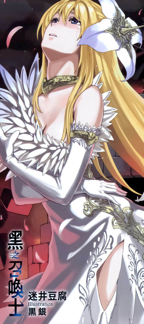 《黑之召唤士》5 魔王甦醒 后记插图（1）