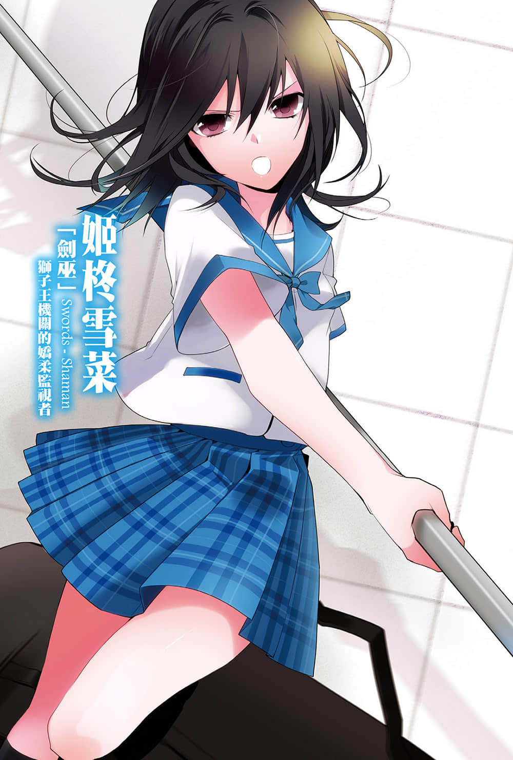 噬血狂袭 Strike the Blood小说插图（13）