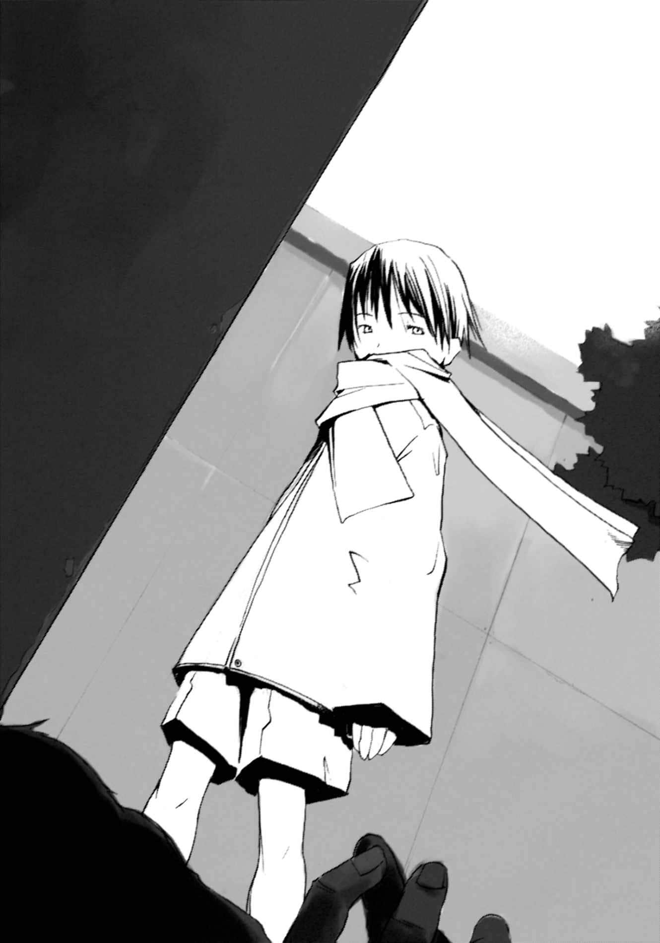 《双重血统》3 插图（10）
