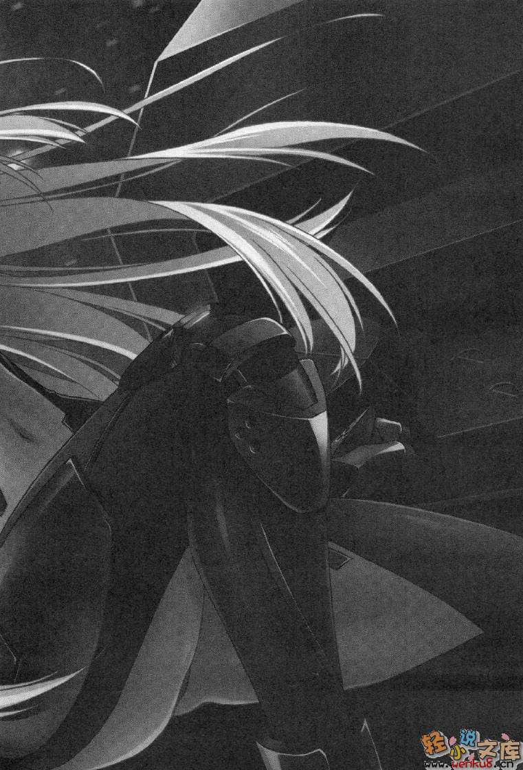 《MUV-LUV Schwarzes marken》1 插图（17）