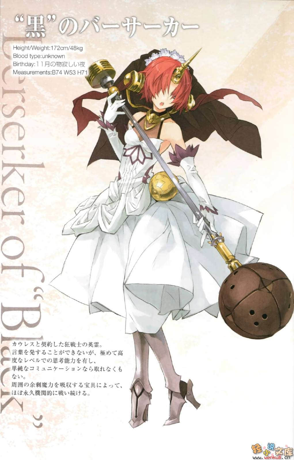 Fate Apocrypha小说插图（9）