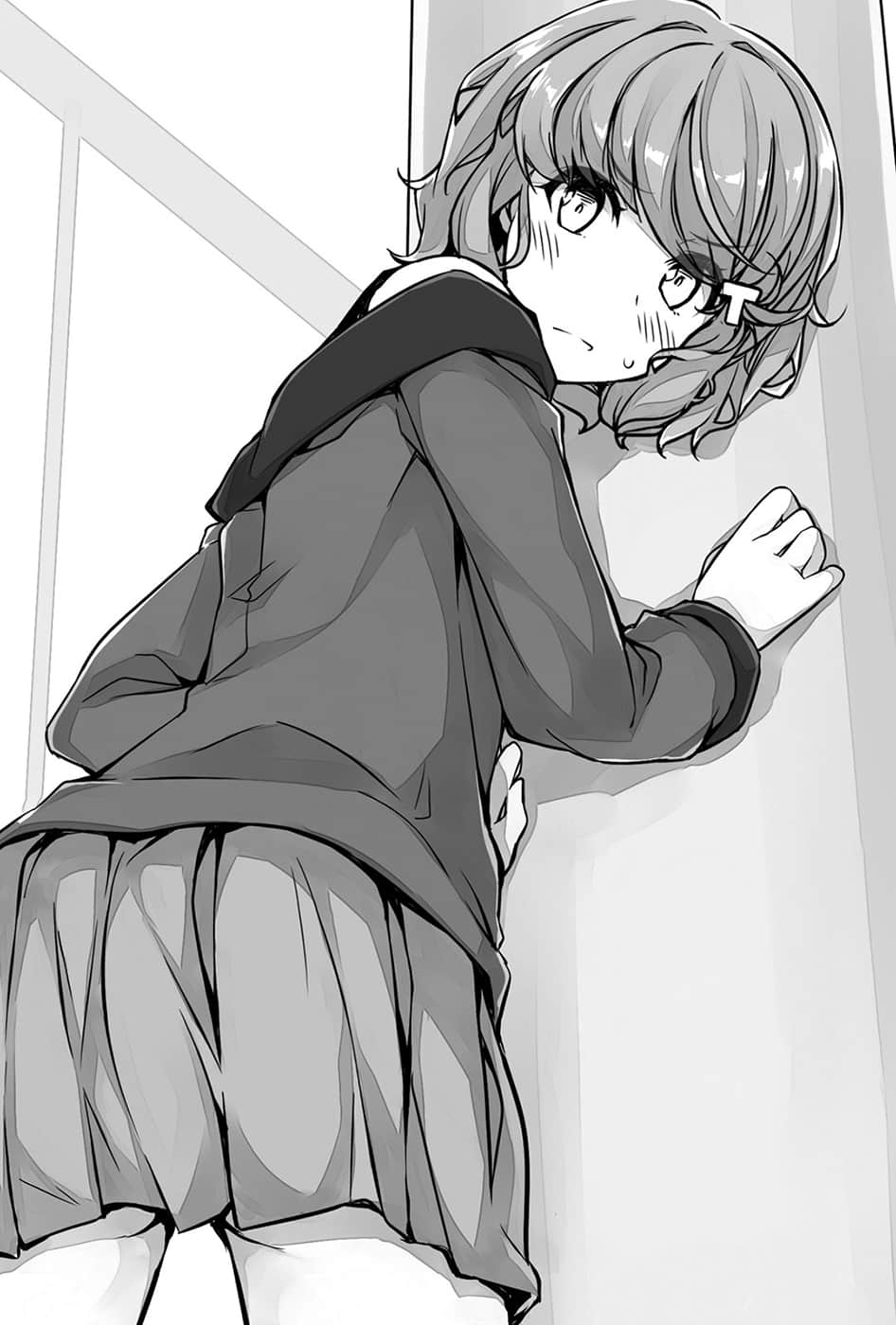 青春猪头少年小说插图（13）