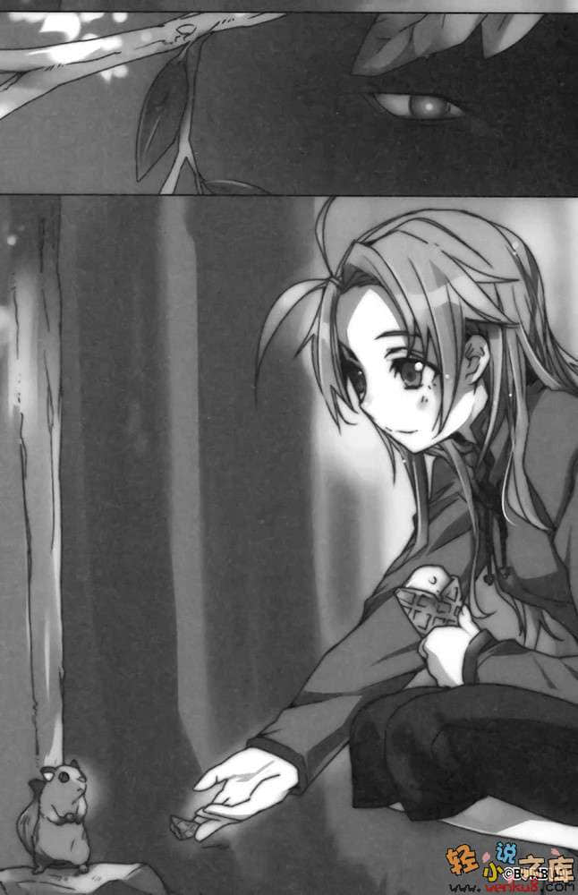 《神曲奏界 黑》13 暗黑降临 插图（7）