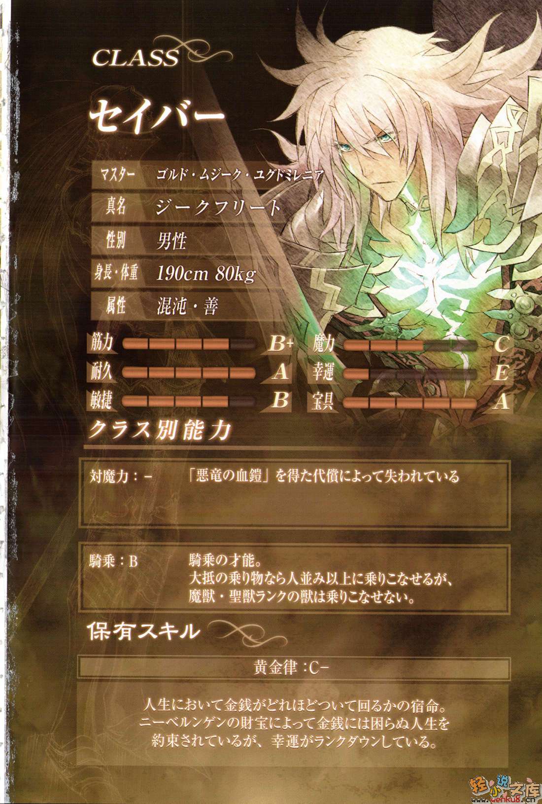 Fate Apocrypha小说插图（66）