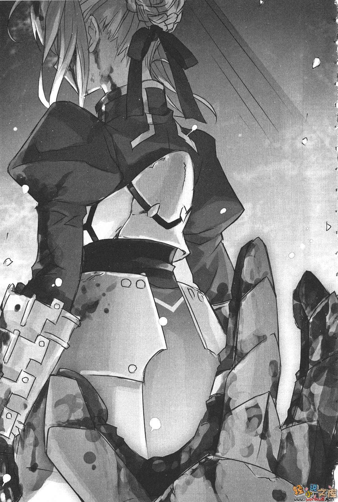 Fate Apocrypha小说插图（55）