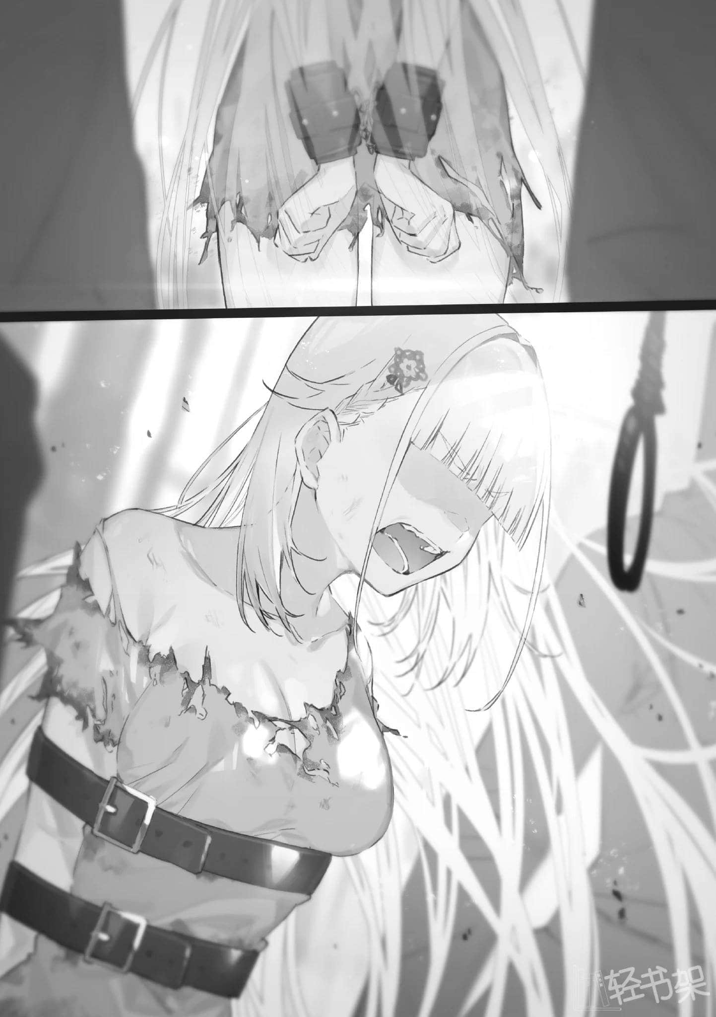 野蛮獠牙大小姐小说插图（23）