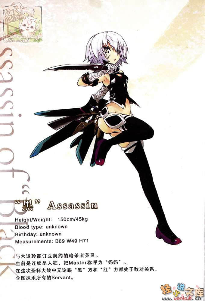 Fate Apocrypha小说插图（30）
