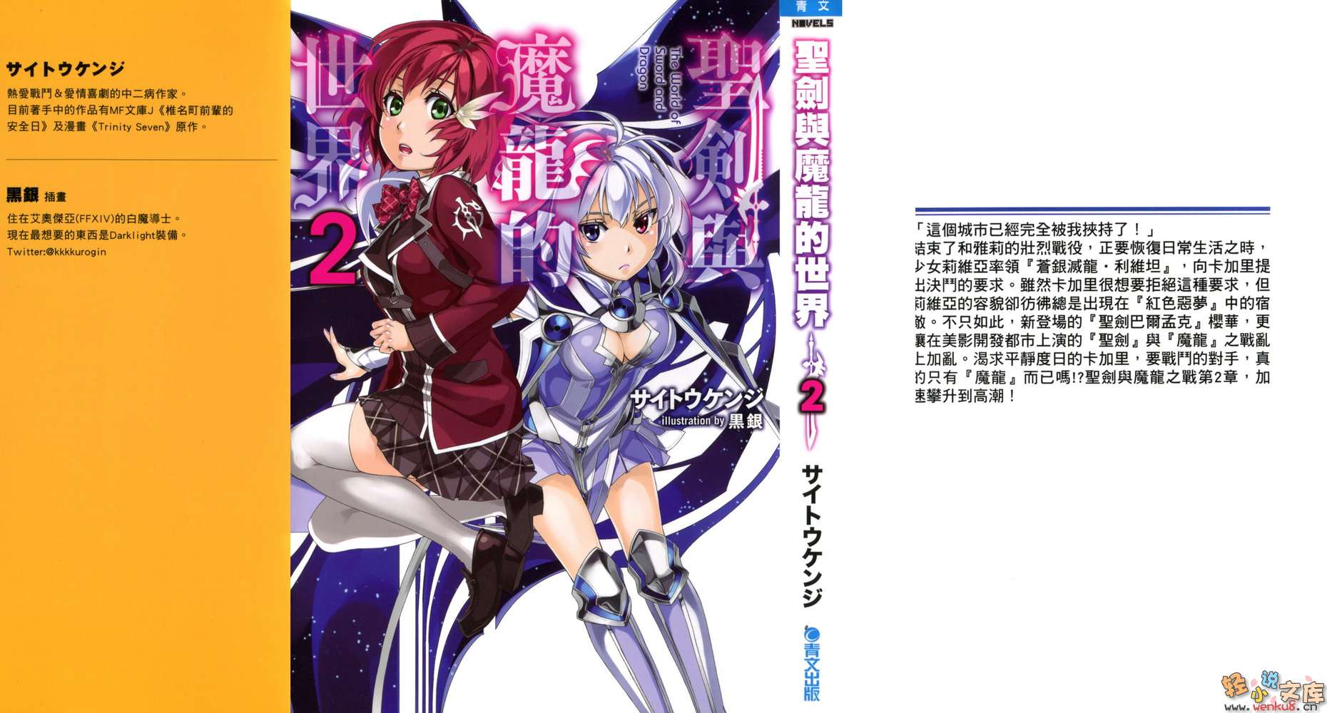 《圣剑与魔龙的世界》2 插图（1）