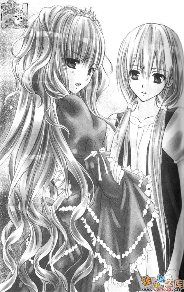 《圣兽王的新娘》9 莉莉公主的谋略 插图（7）