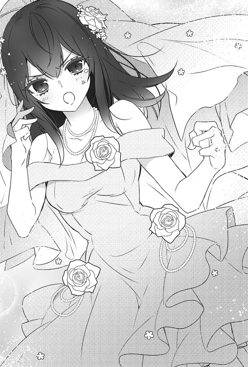 噬血狂袭 外传 APPEND小说插图（36）