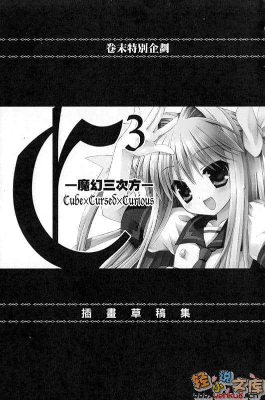 《C3魔幻三次方》7 插图（31）