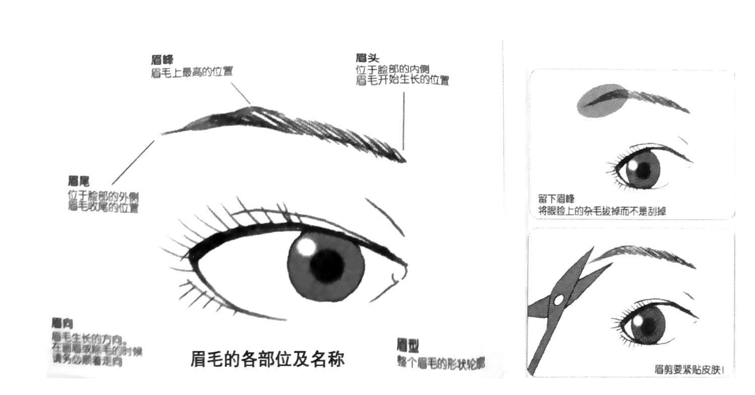 《好想做个女孩子》全一册 插图（16）