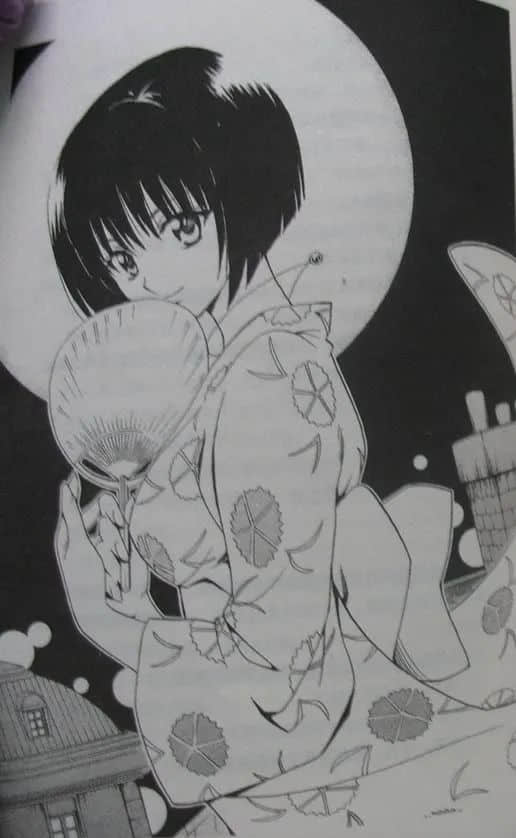 《黑猫 BLACK CAT》星之残照 插图（9）
