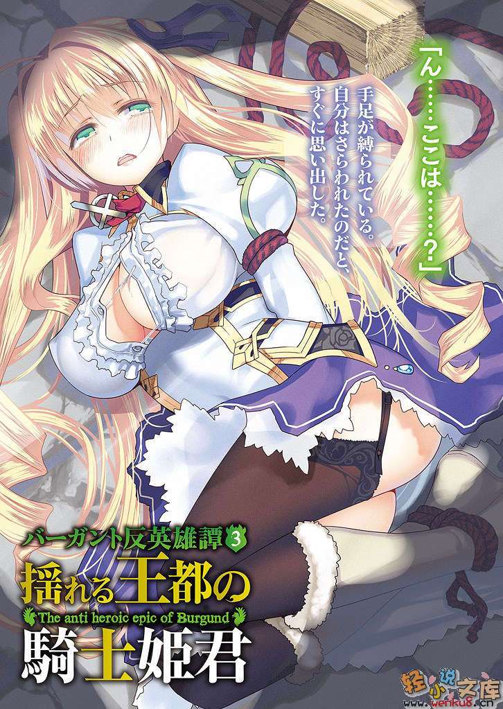 《巴冈特反英雄谭》3 动荡王都的骑士公主 插图（3）