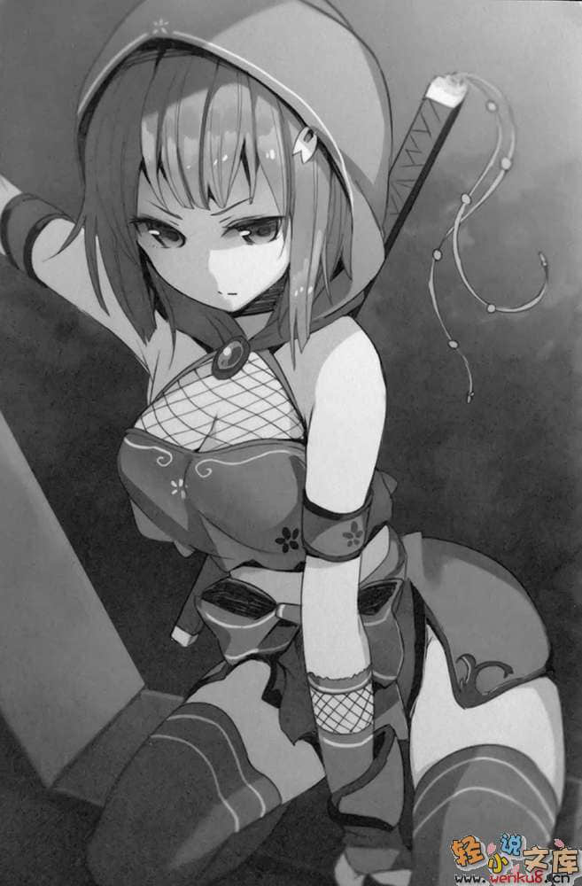 穿越！红女神骑士团小说插图（13）