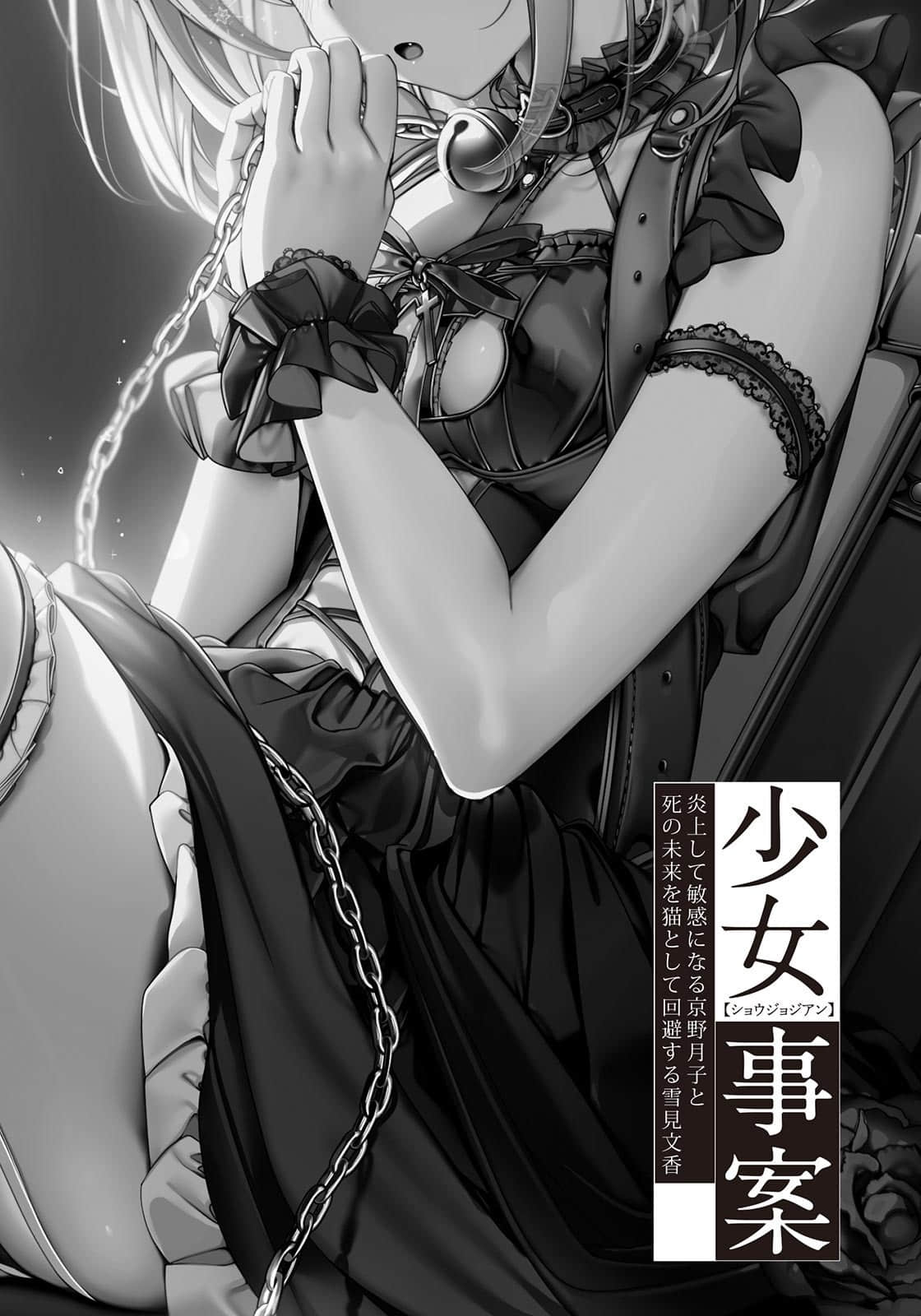 《少女奇案》1（网译） 插图（7）