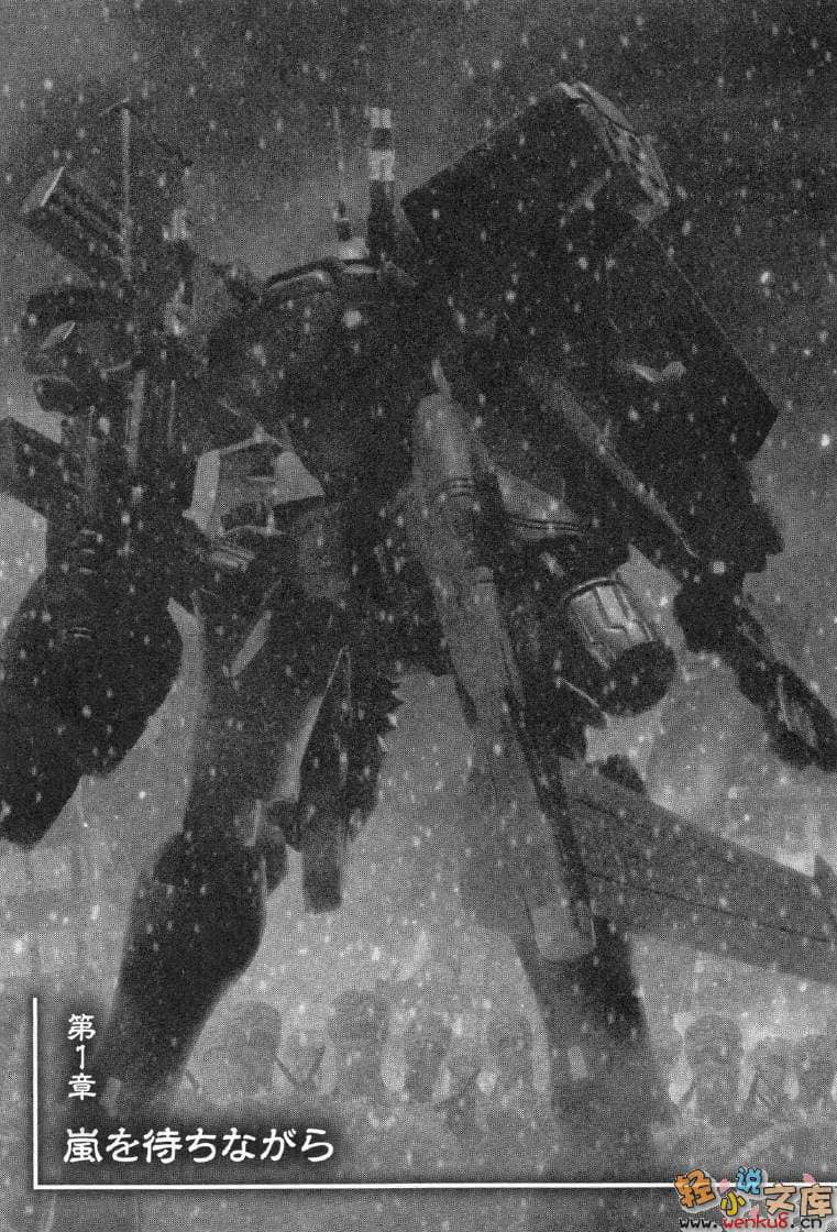 《MUV-LUV Schwarzes marken》2 插图（14）
